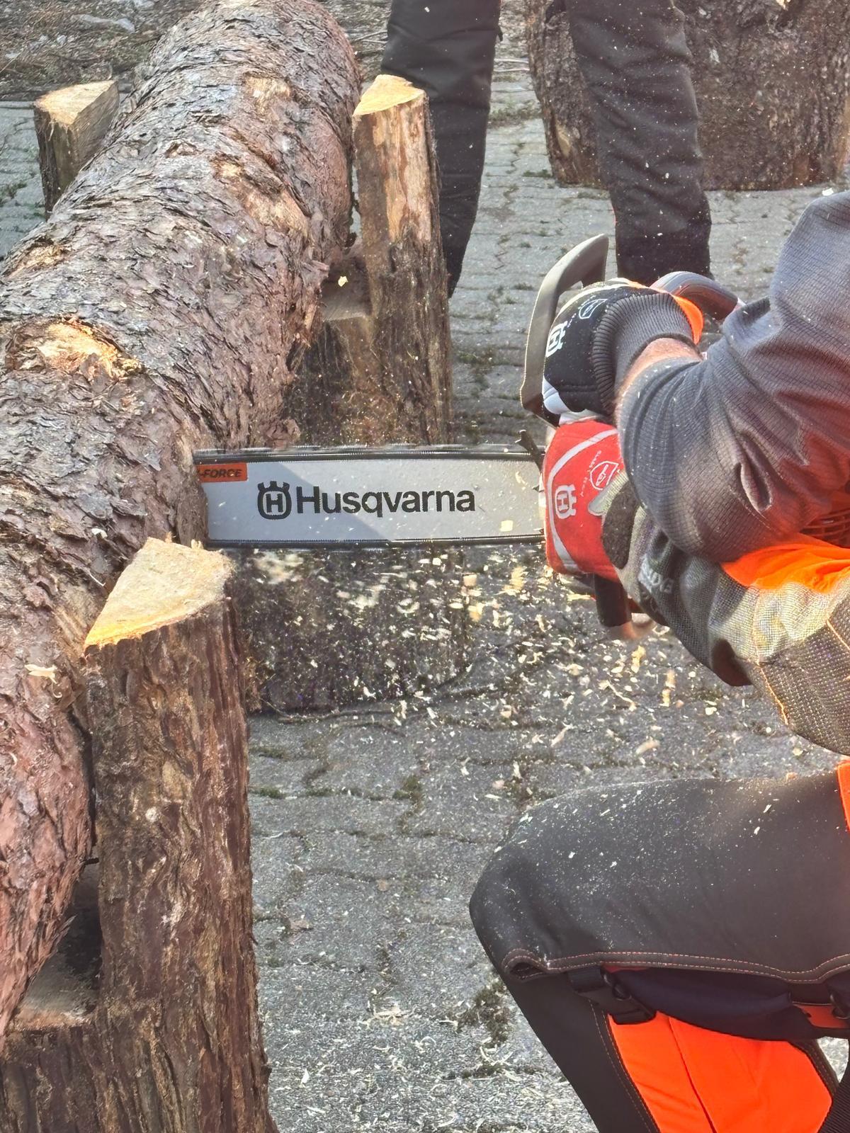 Corso di Formazione e Addestramento all'Uso Sicuro di Motosega e Decespugliatore